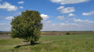 1 июня народный праздник Иванов день. Народные приметы и традиции. Что нельзя делать в этот день.