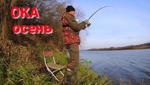 ДОНКИ НА ЧЕРВЯ. Рыбалка на ОКЕ в середине ноября.