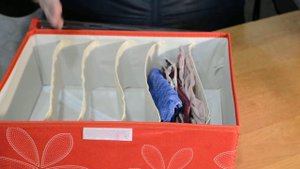 Органайзер ящик коробка для вещей MHZ R17465 Red