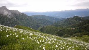 Cantastorie [ 詩人の恋 ] - Carmelo Zappulla