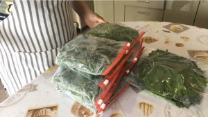 Нужные штучки С Wildberries для заморозки Заморозка зелени на зиму в морозильнике домашних условиях