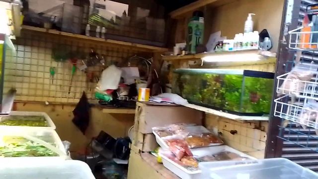 попугаи, рыбки и это таки Стараконка смотреть онлайн