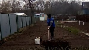 Всем привет! Начали копать огород под грядки для овощей.....