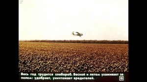 Диафильм Хлеб - всему голова