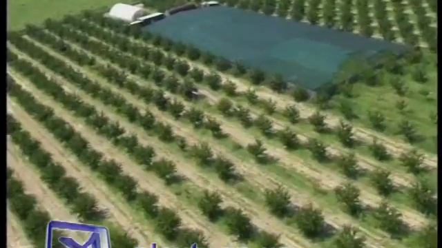 Мак ищут с вертолета смотреть онлайн