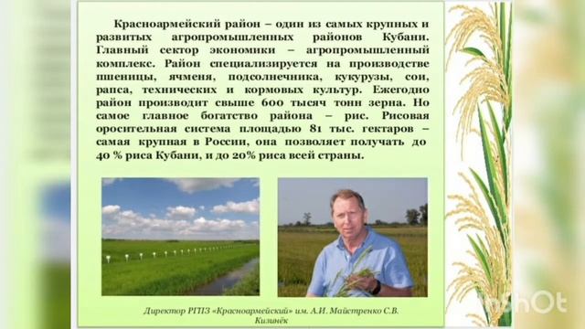 Красноармейский район Краснодарского края