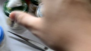 Мицелий Как делать мицелий  как делать грибницу, как выглядит грибница