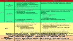 Последние осенние работы в огороде — чем обработать чеснок перед посадкой на зиму