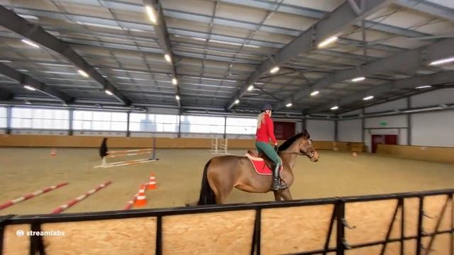 ШОУ - МАСТЕР КЛАСС С МАСТЕРОМ СПОРТА ЧЕЛЛЕНДЖ - ЕЗДА НА ЛОШАДИ - Modestal смотреть онлайн