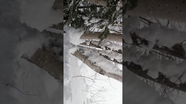 BRP Summit подгорник) смотреть онлайн