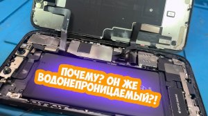 Про водонепроницаемость телефонов и любителей с ними плавать (на примере iPhone 11)