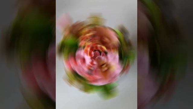 Букеты из мыла! смотреть онлайн