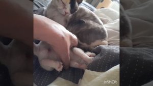 1000016194.mp4