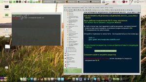 Linux Mint - WiFi и настройка разрешения экрана