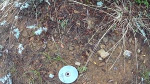 M-DISC Тест II этап. Снятие дисков