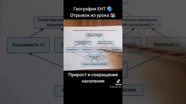 Прирост и сокращение населения