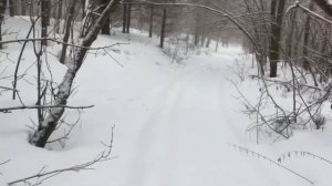 Квадроцикл Cf moto 400L на зимней солопокатушке. Зимние пейзажи средней Волги ну и поговорить …