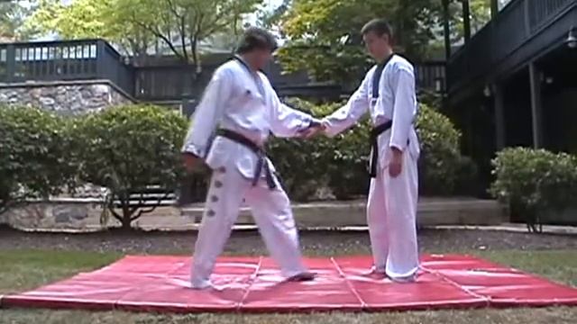 3D8 Dropping One Hand Rotation Throw смотреть онлайн