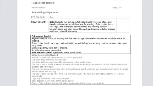 Ragdoll syjamski, mink, sepia i solid смотреть онлайн