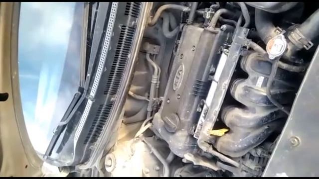 Отзыв владельца автомобиля KIA Ceed 1.4 л. Двигатель G4FA смотреть онлайн