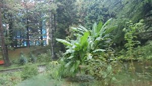 Сочи, Лазаревское, военный санаторий "Янтарь". Зона отдыха.
