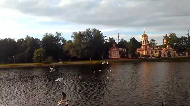 Я на пруду в зоне летнего отдыха ,, Лианозовский пруд"