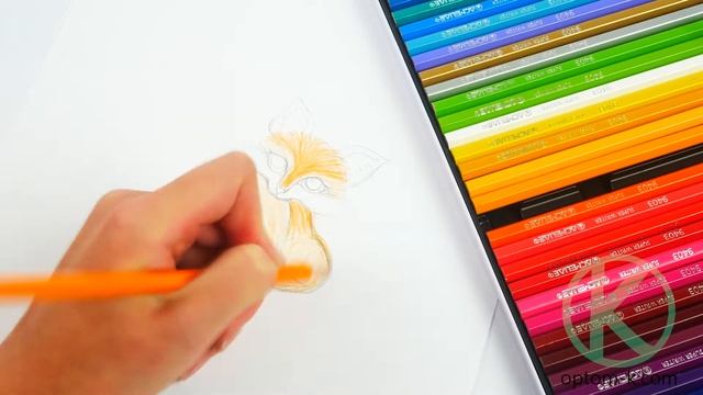 Набор цветных карандашей для рисования. Обзор карандашей «Acmeliae» (9800-36)
