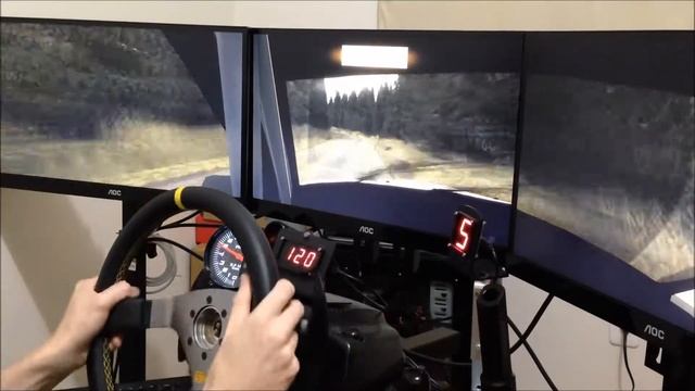 Richard Burns Rally - CBR-V SS4 - Canela-RS смотреть онлайн