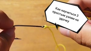 Как научиться 3-м простым узлам для рыбалки #fishing #природа #прикормка