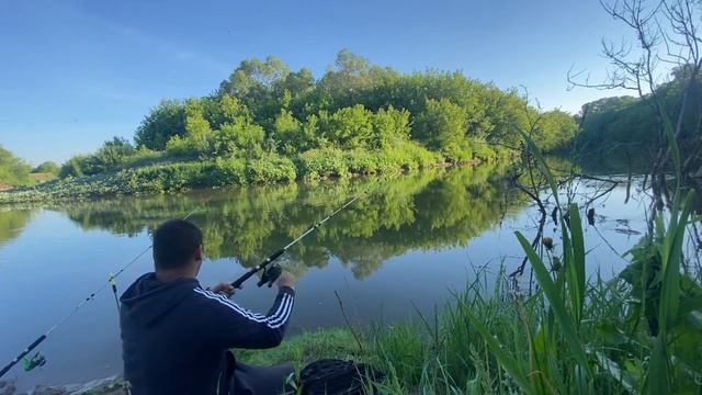 Рыбалка на Меше Татарстан. Клевый клев. #охотарыбалка #fishing #carpfishing #лещь #крупныйлещь