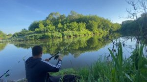 Рыбалка на Меше Татарстан. Клевый клев. #охотарыбалка #fishing #carpfishing #лещь #крупныйлещь