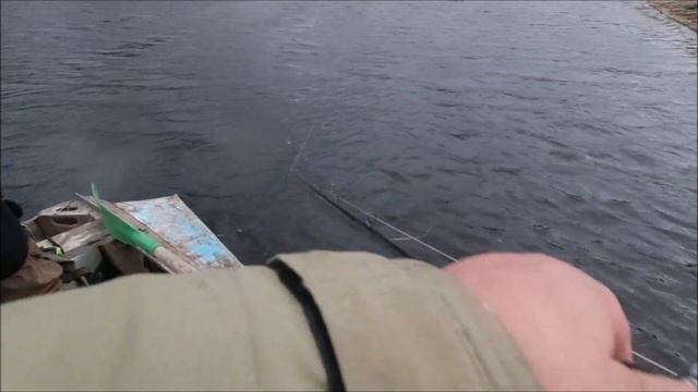 Зверорезина и Зверощуки! смотреть онлайн