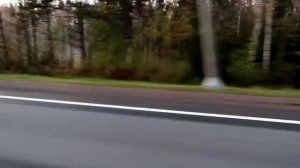 ЗОЛОТОЙ ЗАКАТ И ТУМАН НА ДОРОГЕ. Мурманское шоссе, Ленинградская область. 0+