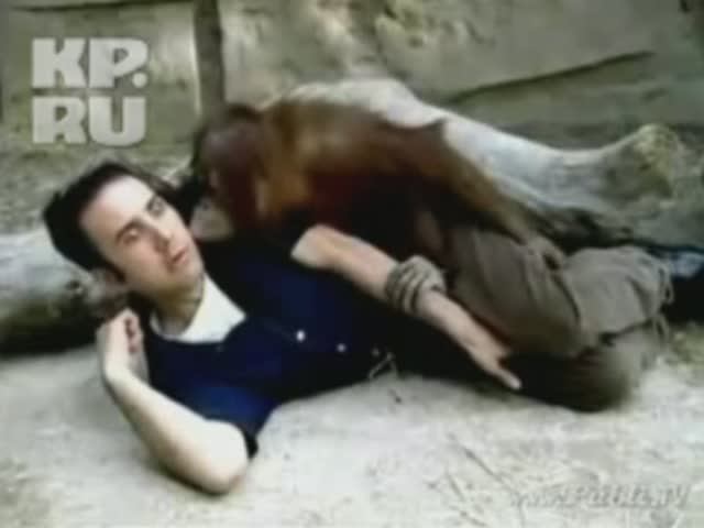 Праздник удался!? смотреть онлайн