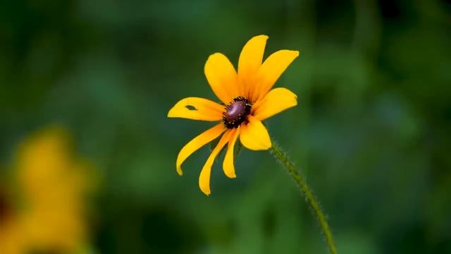 15 Августа День Денежных Ураганов: положите сегодня в Карман. Самое важно от Вселенной смотреть онлайн