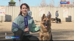 Сюжет программы "Вести Марий Эл". Тренировка парадной коробки кинологов УФСИН.mp4