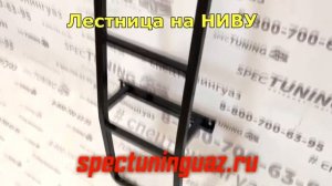 Лестница на ниву