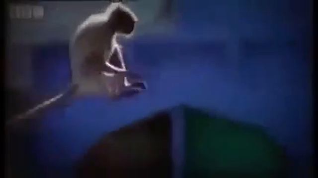 Как появился паркур смотреть онлайн