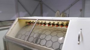 Обзор Осетровой фермы. Стоимость и Сложности реализации