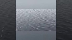 Рыбалка экраном+ставлю раколовку.