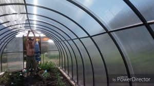 как затенить помидоры в теплице