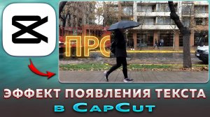 Как сделать эффект появления текста на видео в CapCut