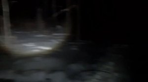 Охота на бобра январь 2022 Один в лесу ночью