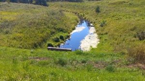 река Кухолка под каналом имени Москвы