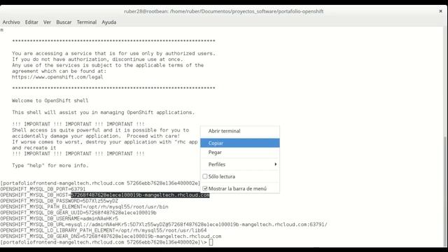 Desarrollo de Software, JAVA EE - Angular: 3. Configuración Backend JAVA, Glassfish en Openshift смотреть онлайн