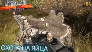 ОХОТА НА ЯЙЦА | STALKER НАРОДНАЯ СОЛЯНКА OGSR 2023 | Серия 86