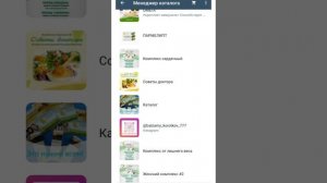Как создать каталог в WhatsApp