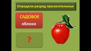 Разряды имен прилагательных по значению 6 класс | #твшкола5+