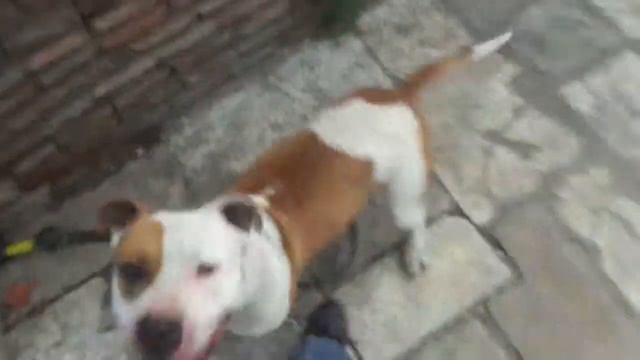 Второе дыхание смотреть онлайн