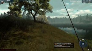 Pro Fishing game (beta access) - open world exploration